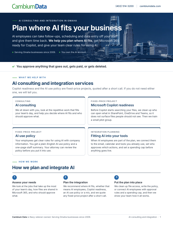 Cover page of the AI Consulting and Integration PDF