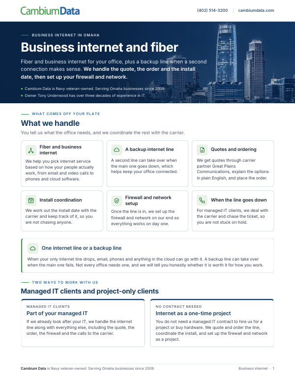 Cover page of the Business Internet PDF