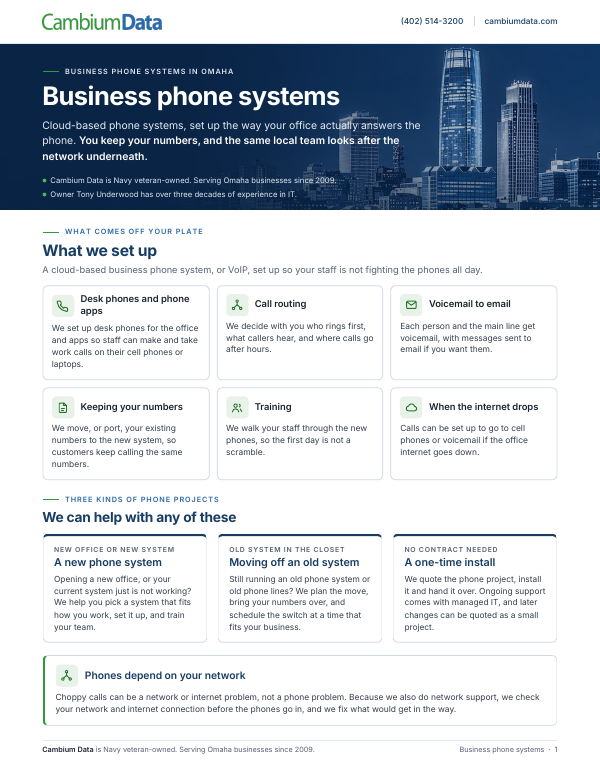 Cover page of the Business Phone Systems PDF