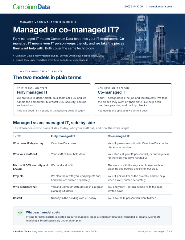 Cover page of the Managed vs Co-Managed IT PDF